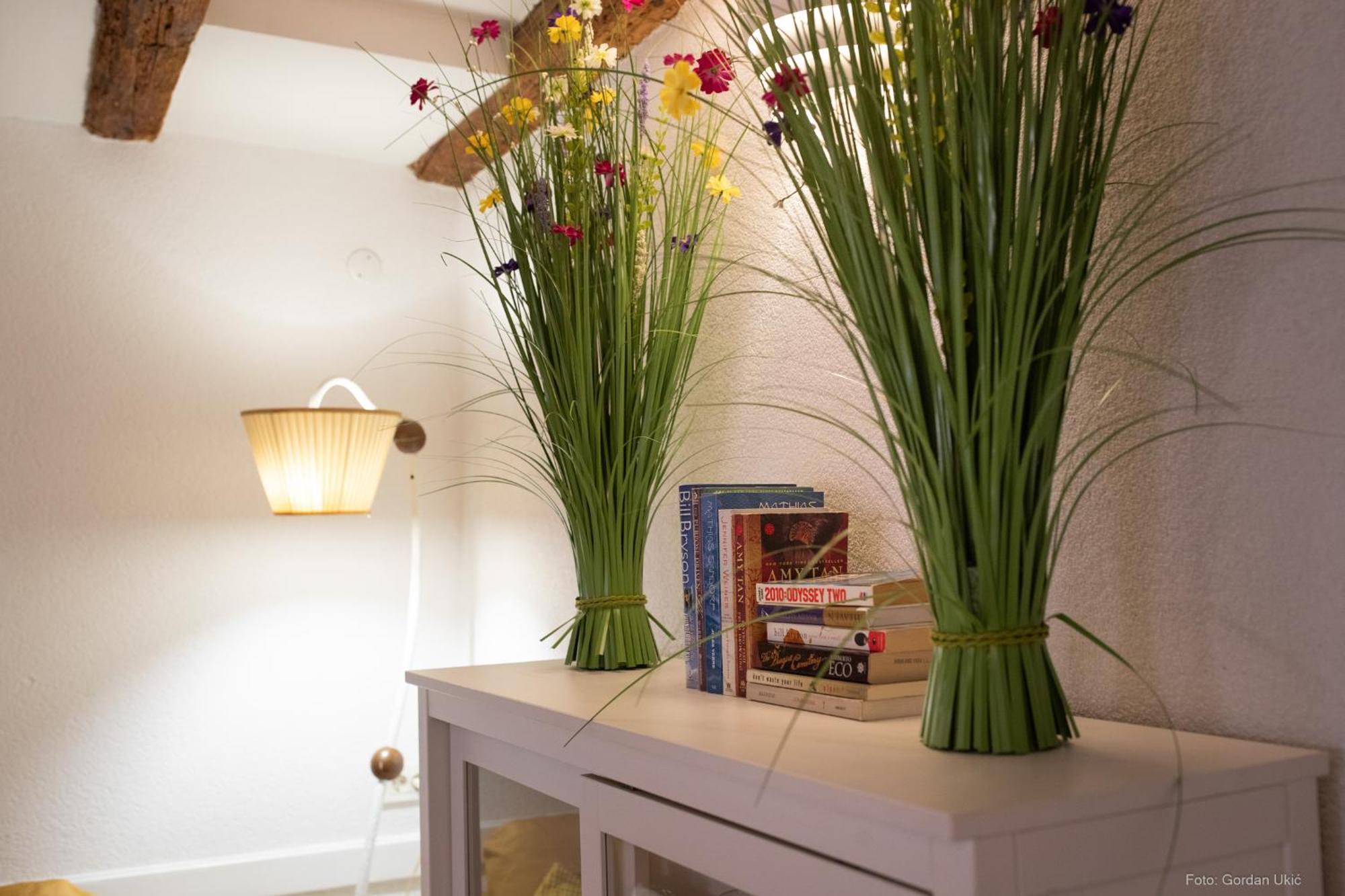 Apartment Jolli Rovinj Eksteriør bilde